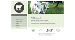 Desktop Screenshot of hundsdorfer.com
